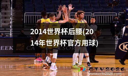 2014世界杯后腰(2014年世界杯官方用球)