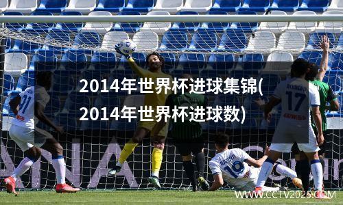 2014年世界杯进球集锦(2014年世界杯进球数)