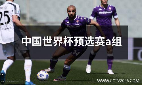 中国世界杯预选赛a组