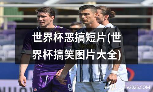 世界杯恶搞短片(世界杯搞笑图片大全)