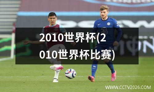 2010世界杯(2010世界杯比赛)