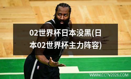02世界杯日本没黑(日本02世界杯主力阵容)