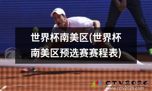 世界杯南美区(世界杯南美区预选赛赛程表)