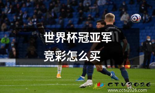 世界杯冠亚军竞彩怎么买