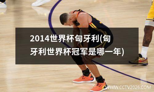 2014世界杯匈牙利(匈牙利世界杯冠军是哪一年)