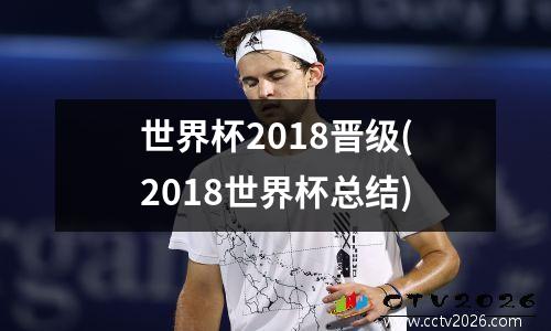 世界杯2018晋级(2018世界杯总结)