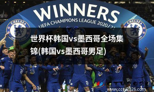 世界杯韩国vs墨西哥全场集锦(韩国vs墨西哥男足)