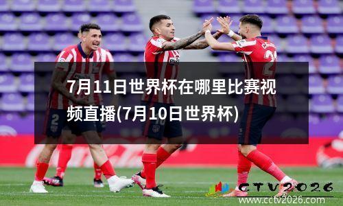 7月11日世界杯在哪里比赛视频直播(7月10日世界杯)