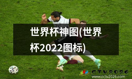 世界杯神图(世界杯2022图标)