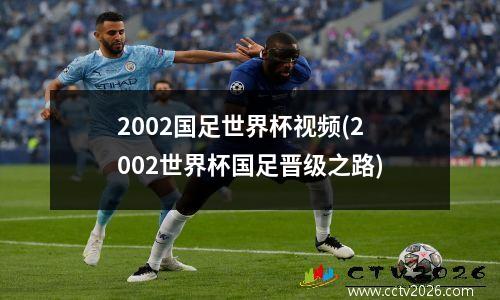 2002国足世界杯视频(2002世界杯国足晋级之路)