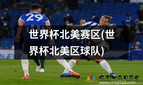 世界杯北美赛区(世界杯北美区球队)