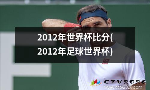 2012年世界杯比分(2012年足球世界杯)