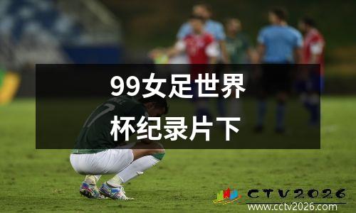99女足世界杯纪录片下