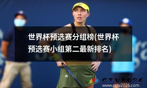世界杯预选赛分组榜(世界杯预选赛小组第二最新排名)