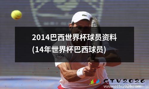 2014巴西世界杯球员资料(14年世界杯巴西球员)