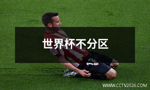 世界杯不分区