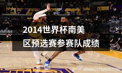 2014世界杯南美区预选赛参赛队成绩