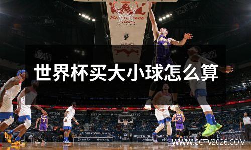 世界杯买大小球怎么算