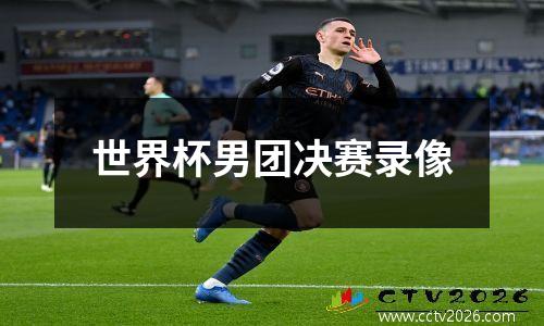 世界杯男团决赛录像