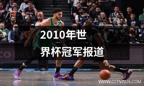 2010年世界杯冠军报道