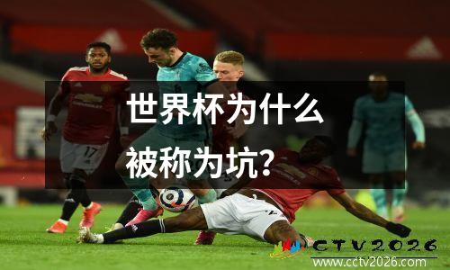 世界杯为什么被称为坑？