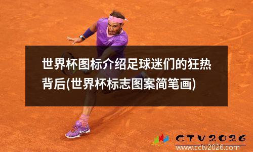 世界杯图标介绍足球迷们的狂热背后(世界杯标志图案简笔画)