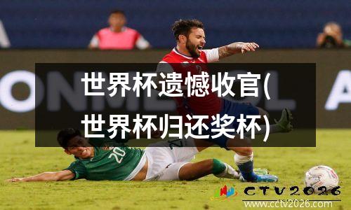 世界杯遗憾收官(世界杯归还奖杯)