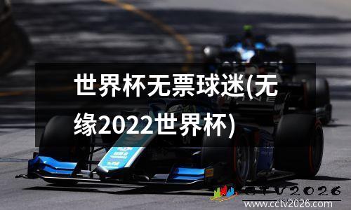 世界杯无票球迷(无缘2022世界杯)