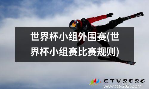 世界杯小组外围赛(世界杯小组赛比赛规则)