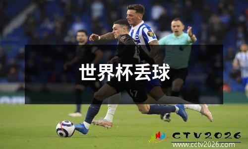 世界杯丢球