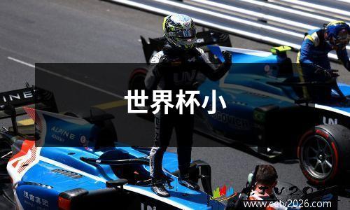 世界杯小