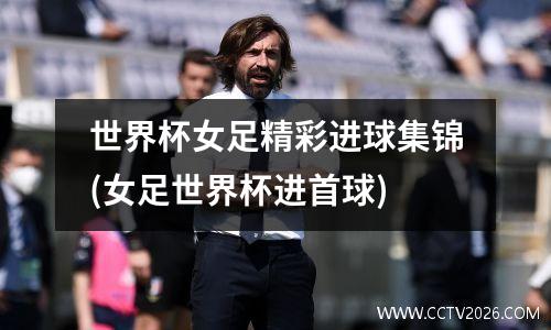 世界杯女足精彩进球集锦(女足世界杯进首球)