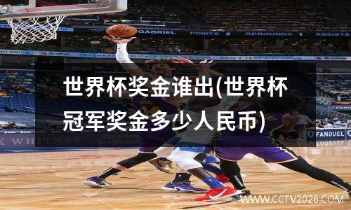 世界杯奖金谁出(世界杯冠军奖金多少人民币)