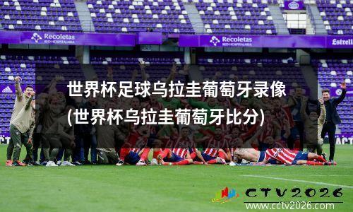 世界杯足球乌拉圭葡萄牙录像(世界杯乌拉圭葡萄牙比分)