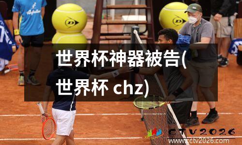 世界杯神器被告(世界杯 chz)