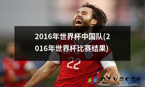 2016年世界杯中国队(2016年世界杯比赛结果)