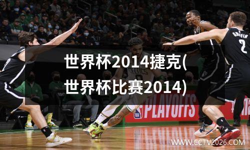 世界杯2014捷克(世界杯比赛2014)