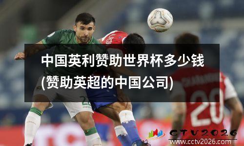 中国英利赞助世界杯多少钱(赞助英超的中国公司)