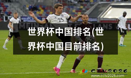 世界杯中国排名(世界杯中国目前排名)