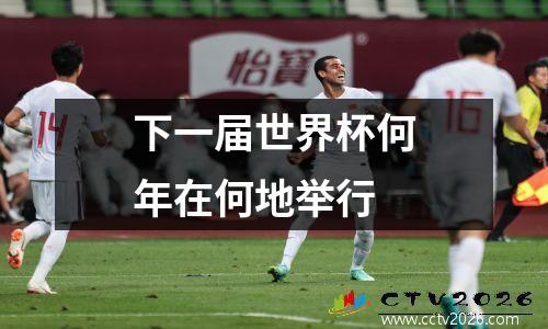 下一届世界杯何年在何地举行