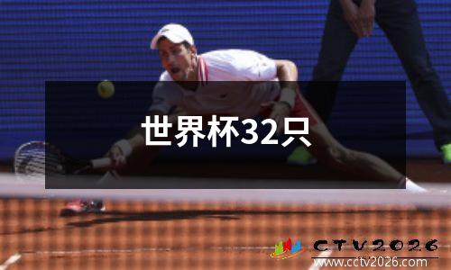 世界杯32只