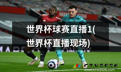 世界杯球赛直播1(世界杯直播现场)