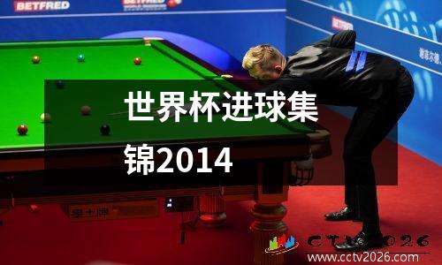 世界杯进球集锦2014