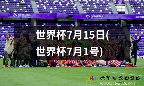 世界杯7月15日(世界杯7月1号)