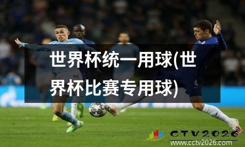 世界杯统一用球(世界杯比赛专用球)