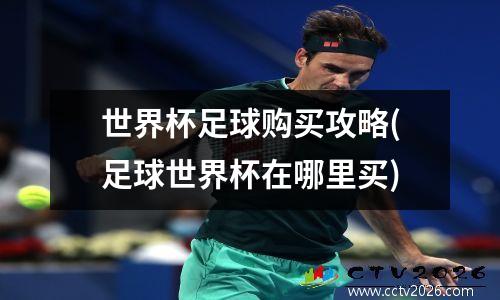 世界杯足球购买攻略(足球世界杯在哪里买)