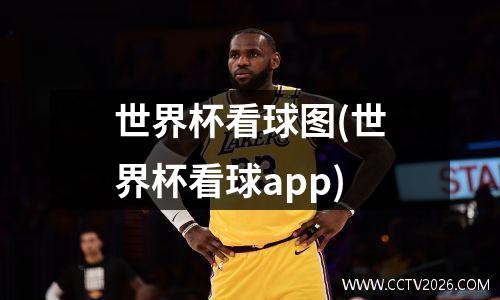 世界杯看球图(世界杯看球app)