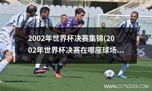 2002年世界杯决赛集锦(2002年世界杯决赛在哪座球场举行)