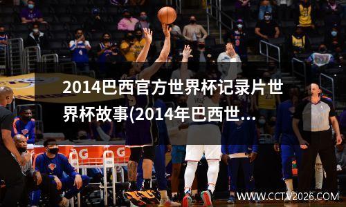 2014巴西官方世界杯记录片世界杯故事(2014年巴西世界杯,小到比赛用球,大到场馆能源设备)