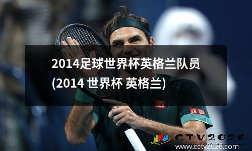 2014足球世界杯英格兰队员(2014 世界杯 英格兰)